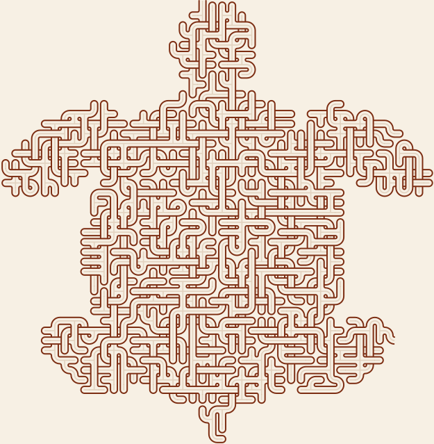 Sea Turtle — square-Labyrinth 48×50