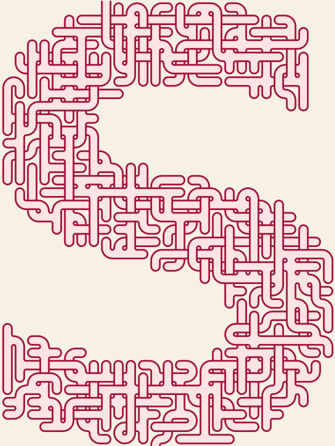 Letter S — square-Labyrinth 31×40