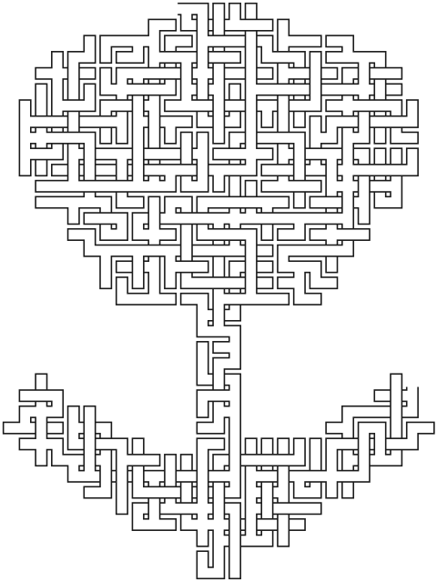 Tulip — 31×40 のsquare迷路