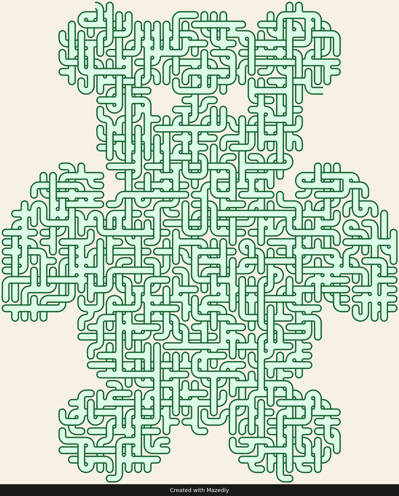 Teddy Bear — Forest Trail