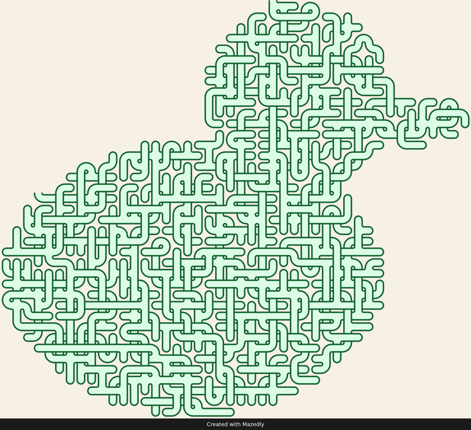 Rubber Duck — Forest Trail