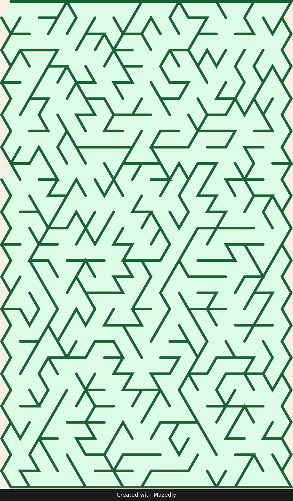Triangle — Forest Trail