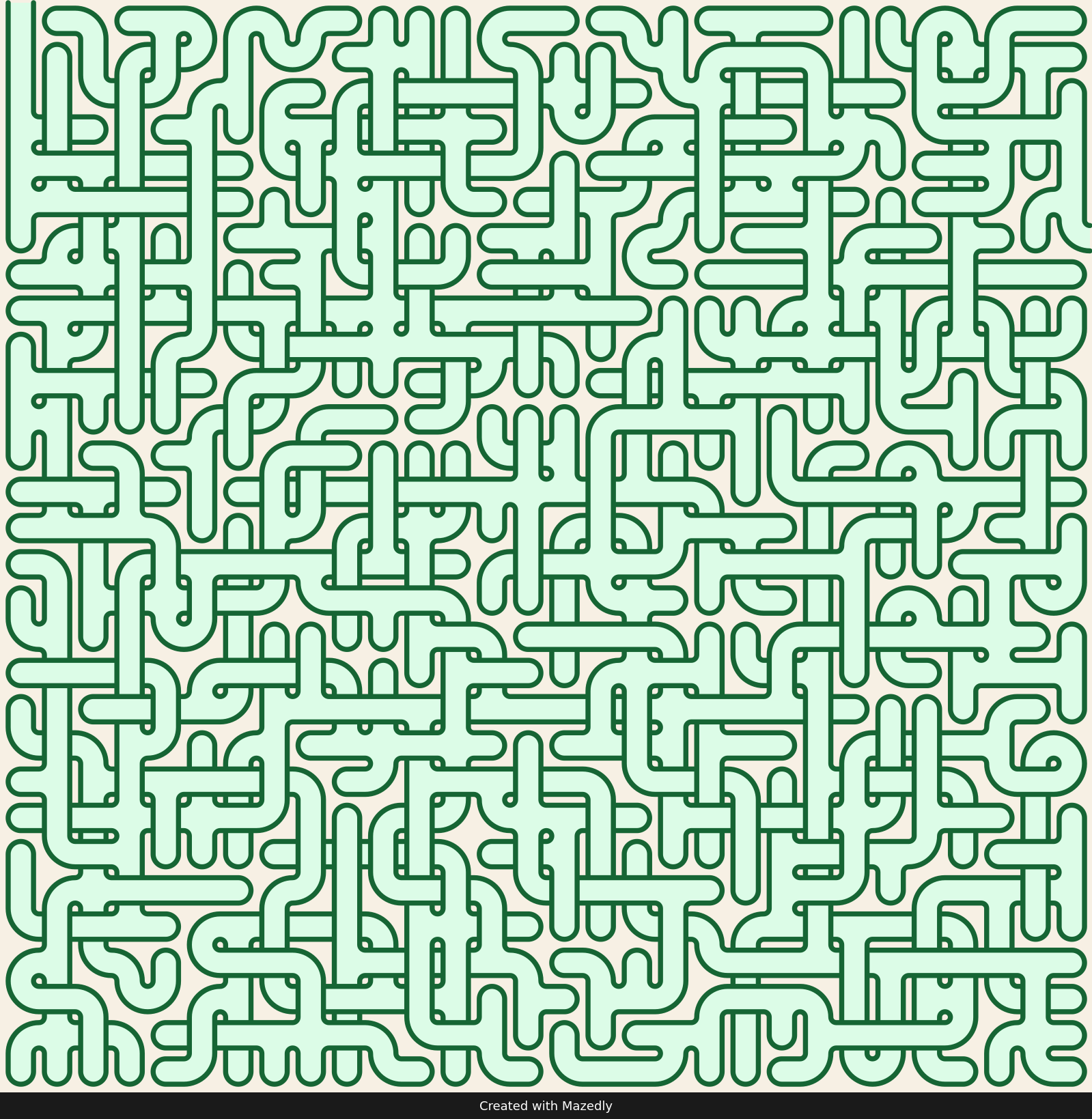 Square — Forest Trail