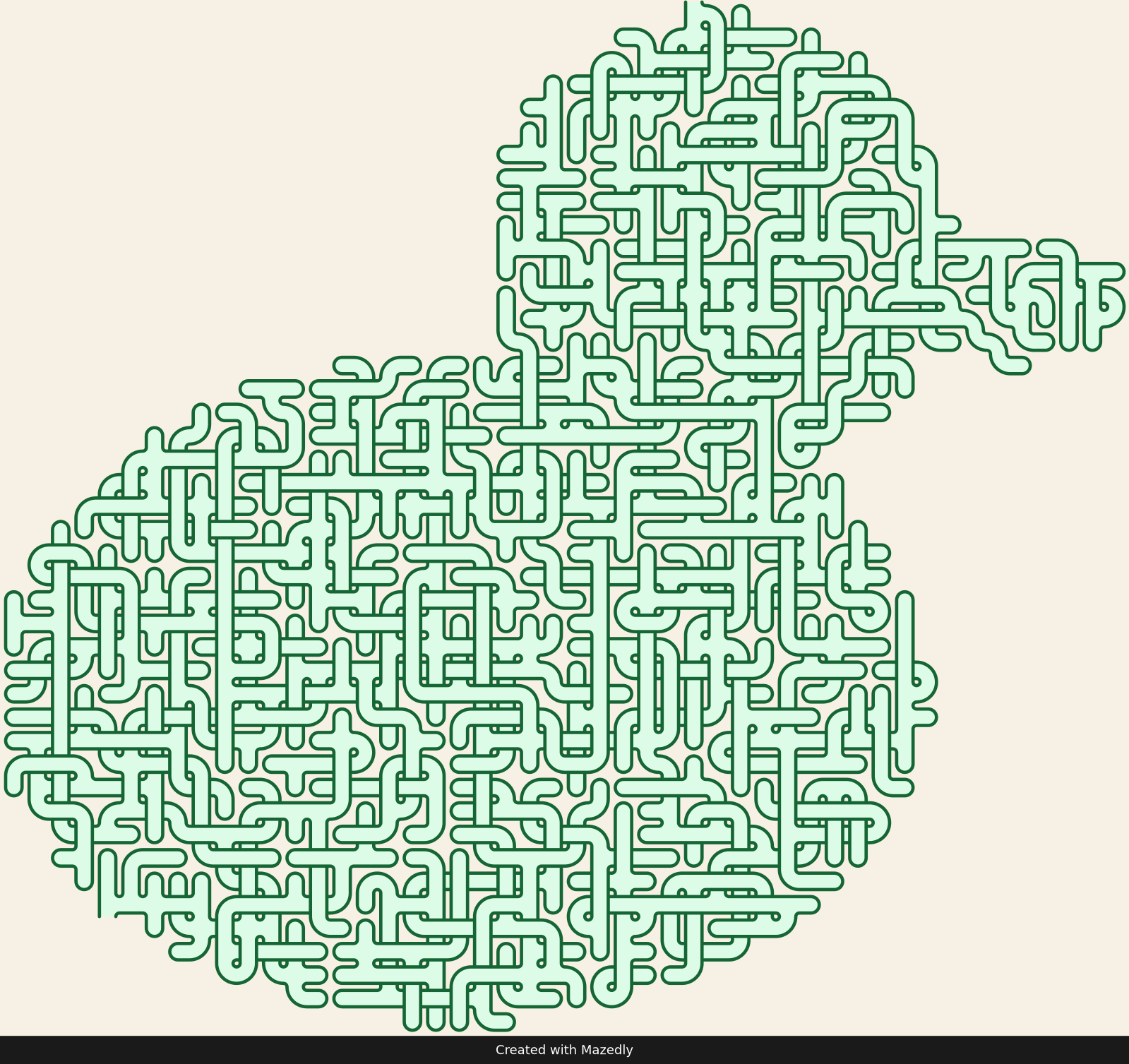 Rubber Duck — Forest Trail