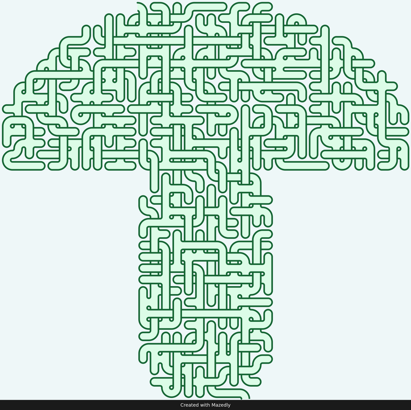 Toadstool — Forest Trail