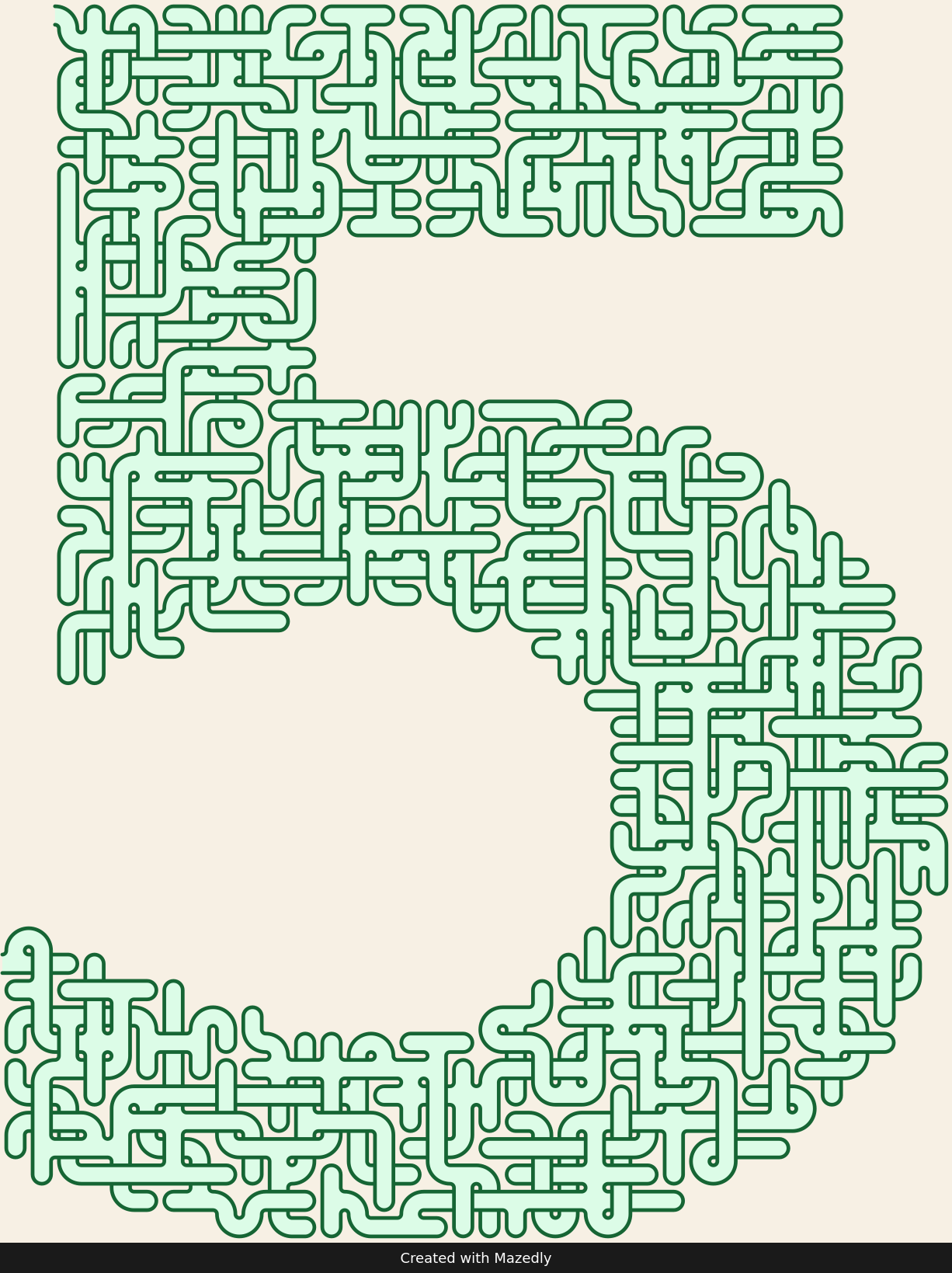 Number 5 — Forest Trail